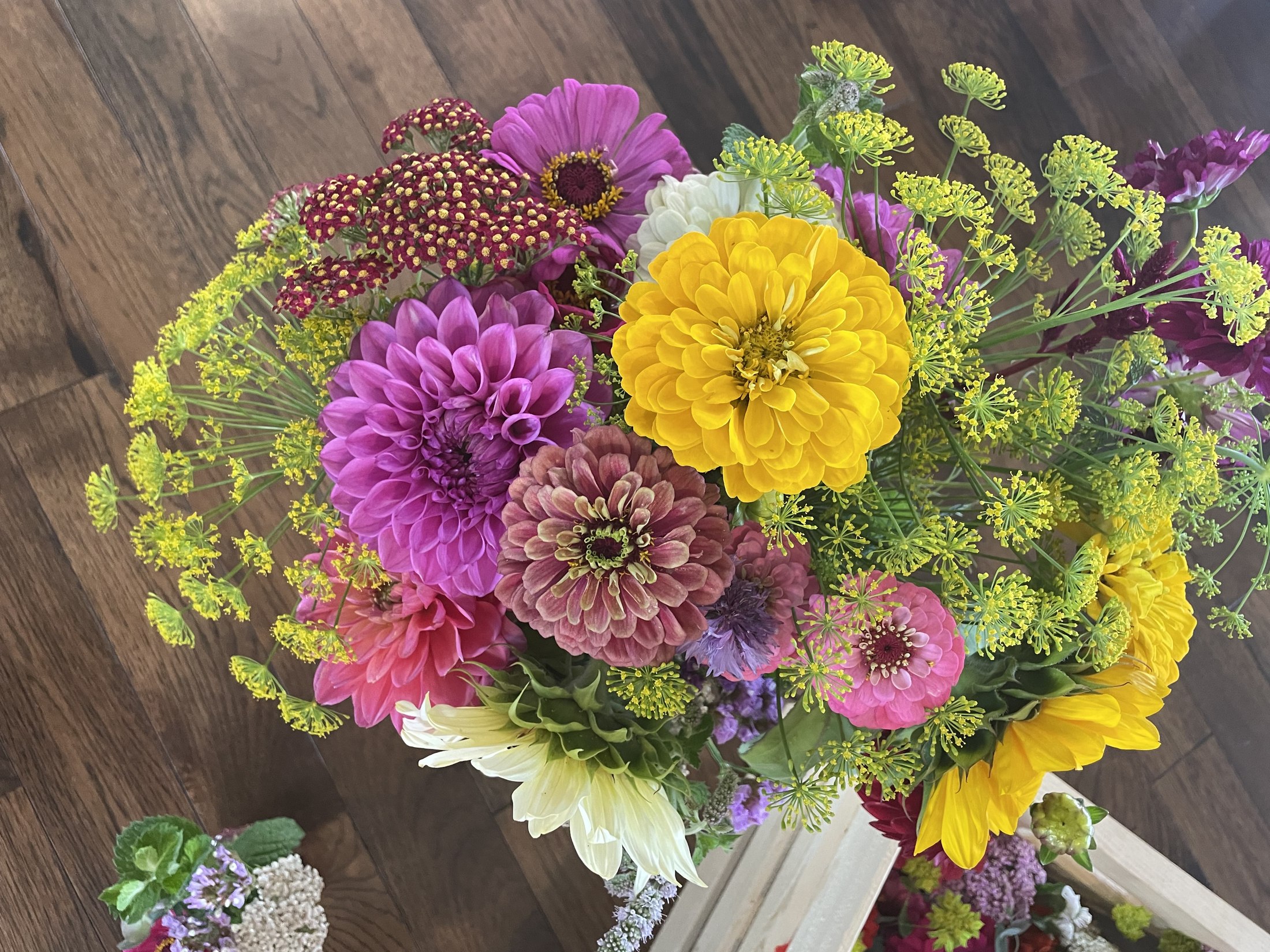 A just-cut bouquet of dahlias, zinnias and yarrow laid out on a dark wood table, seen from above