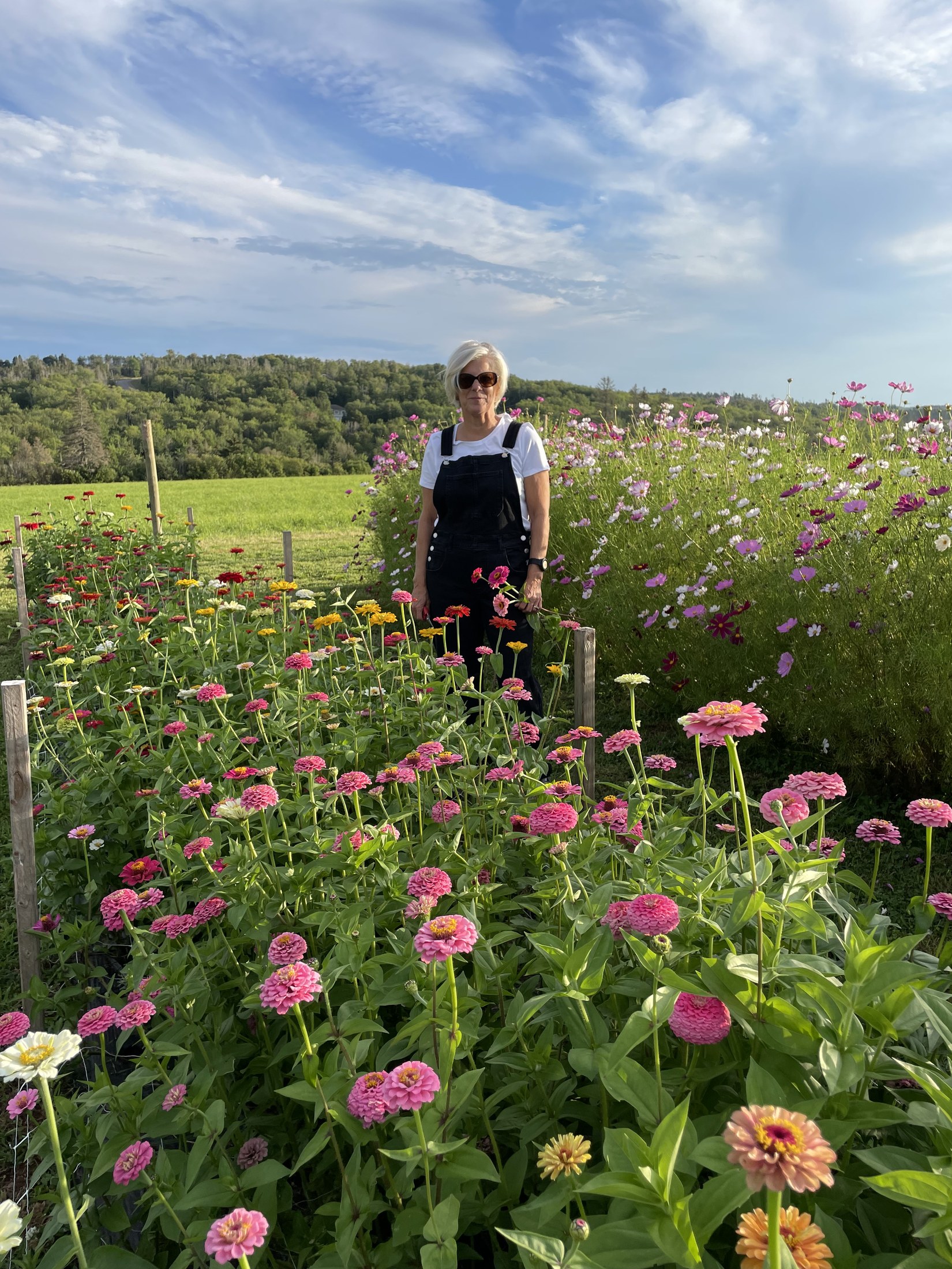 Monique standing in the flower rows on an evening in late summer, zinnias on one side and cosmos on the other, the hills behind the farm in the distance