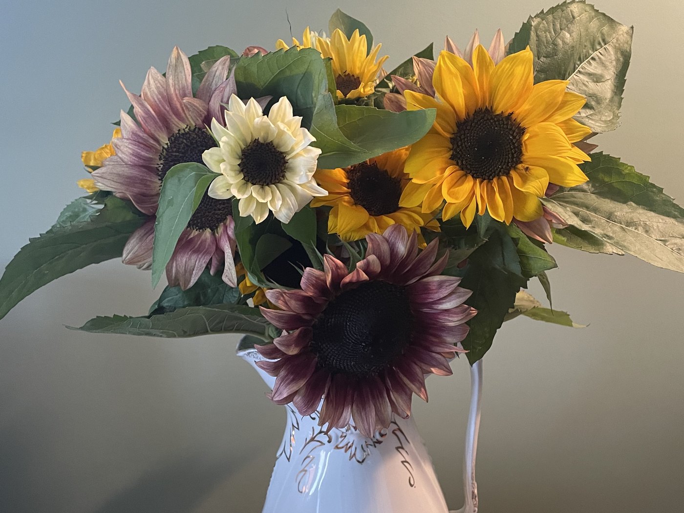 Sunflowers and garden blooms arranged in a white pitcher, the whole arrangement in frame