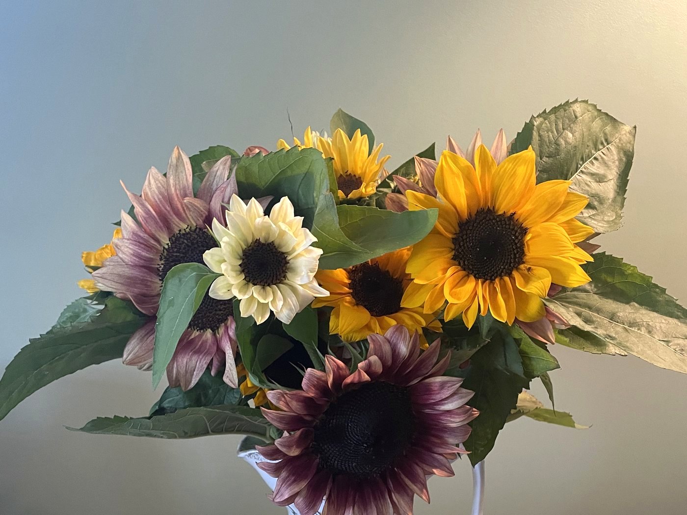 Sunflowers and garden blooms arranged in a white pitcher